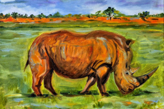 Rhinozerus, Öl