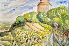 Weinberg-Foerster-in-Radebeul-50-x-40-cm2-Aquarell-2025-klein
