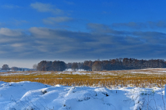 KOR00187-Winter-2