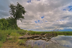 Krumminer-Wiek 1