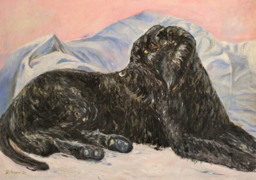 Finn, 2021, 70 x 50 cm, Öl