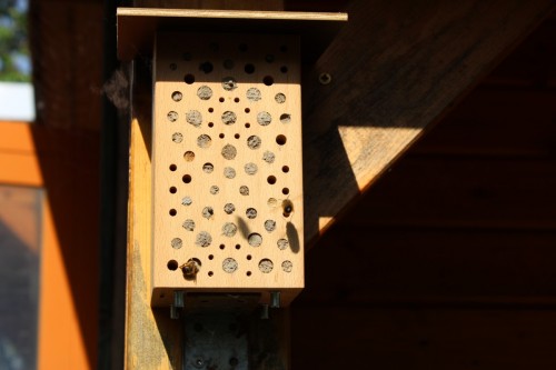 Wildbienenhotel, fleissig genutzt