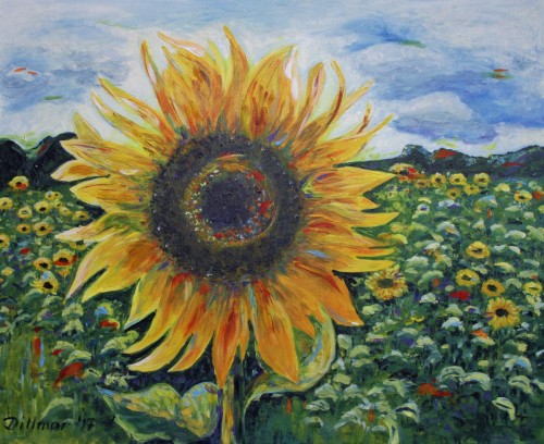 Sonnenblumen in Weixdorf , 50 x 40, 2017, Acryl
