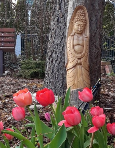 Tulpen und Buddha 2019